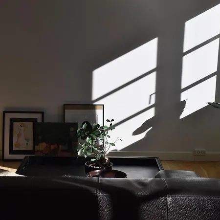 Open-concept Flat *
