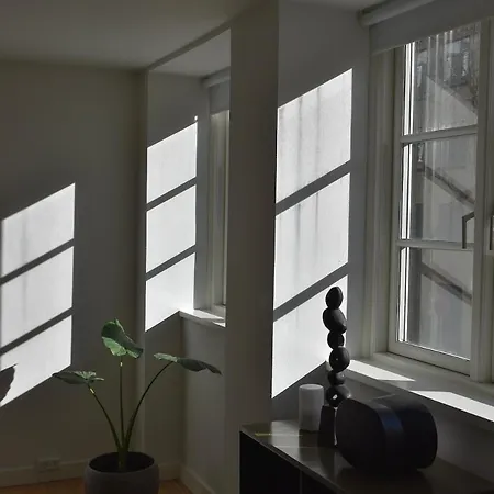 Open-concept Flat Apartman *