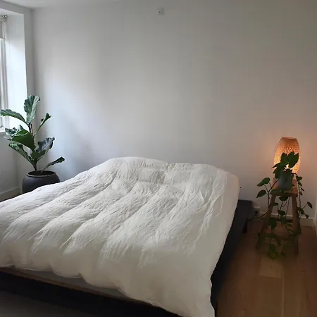 Open-concept Flat Koppenhága